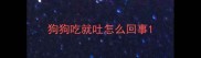 狗狗吃就吐怎么回事