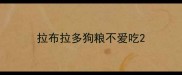 拉布拉多狗粮不爱吃