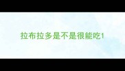 拉布拉多是不是很能吃