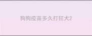 狗狗疫苗多久打狂犬