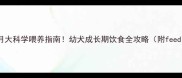 哈士奇7个月大科学喂养指南幼犬成长期饮食全攻略附feedinglist