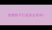 宠物狗不打疫苗会死吗