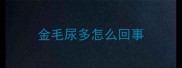金毛尿多怎么回事