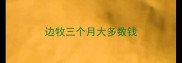 边牧三个月大多数钱
