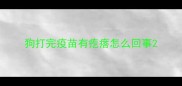 狗打完疫苗有疙瘩怎么回事