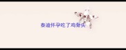 泰迪怀孕吃了鸡骨头