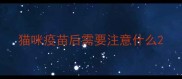 猫咪疫苗后需要注意什么