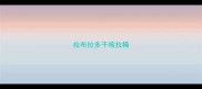 拉布拉多干咳拉稀