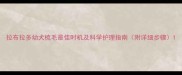 拉布拉多幼犬梳毛最佳时机及科学护理指南附详细步骤
