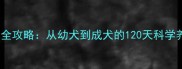哈士奇养成全攻略从幼犬到成犬的120天科学养宠指南