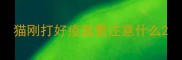 猫刚打好疫苗要注意什么