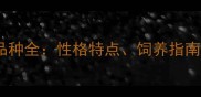 热门宠物猫品种全性格特点饲养指南与选购技巧