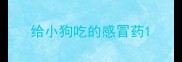 给小狗吃的感冒药