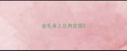 金毛身上总有皮屑