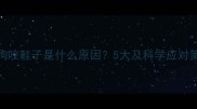 狗狗咬鞋子是什么原因5大及科学应对策略