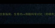 泰迪犬饮食指南生骨肉vs狗粮科学对比附喂养方案