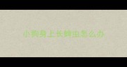 小狗身上长蜱虫怎么办