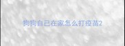 狗狗自己在家怎么打疫苗