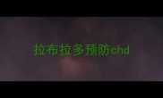 拉布拉多预防chd