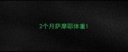 2个月萨摩耶体重