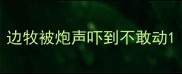边牧被炮声吓到不敢动