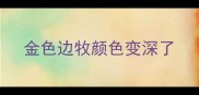 金色边牧颜色变深了