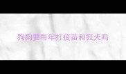 狗狗要每年打疫苗和狂犬吗
