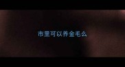 市里可以养金毛么
