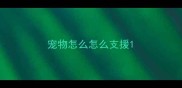 宠物怎么怎么支援
