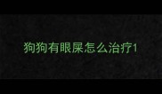 狗狗有眼屎怎么治疗