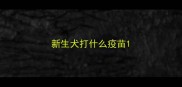 新生犬打什么疫苗