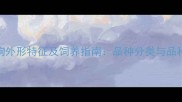 常见小狗外形特征及饲养指南品种分类与品种选择全
