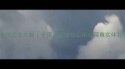 宠物跨省托运全攻略全国连锁宠物运输公司真实体验分享