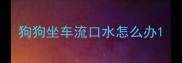 狗狗坐车流口水怎么办