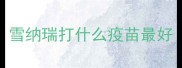 雪纳瑞打什么疫苗最好
