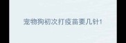 宠物狗初次打疫苗要几针