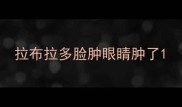 拉布拉多脸肿眼睛肿了