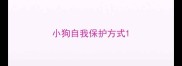 小狗自我保护方式