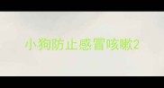 小狗防止感冒咳嗽