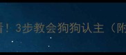养狗新手必看3步教会狗狗认主附训犬全流程