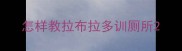 怎样教拉布拉多训厕所