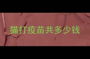 猫打疫苗共多少钱