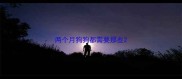 两个月狗狗都需要那些