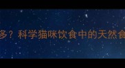 马铃薯对猫咪好处多科学猫咪饮食中的天然食材及安全食用指南