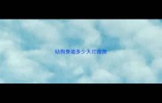 幼狗泰迪多少天打疫苗