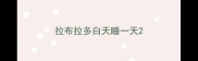 拉布拉多白天睡一天