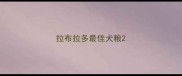 拉布拉多最佳犬粮