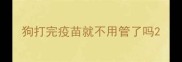狗打完疫苗就不用管了吗
