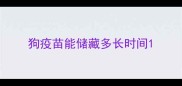 狗疫苗能储藏多长时间