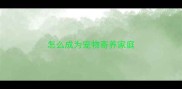 怎么成为宠物寄养家庭